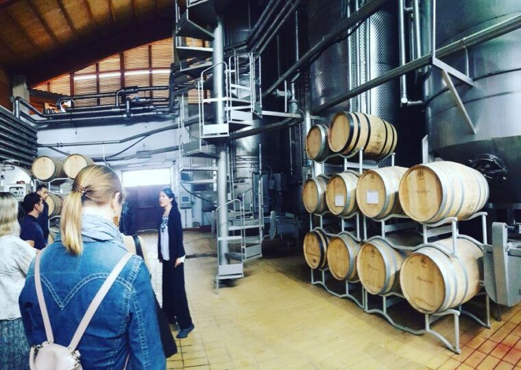 cagliari-wine-cheese-and-olive-oil-tasting-experience