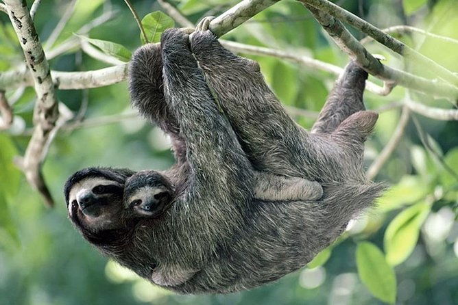cahuita-national-park