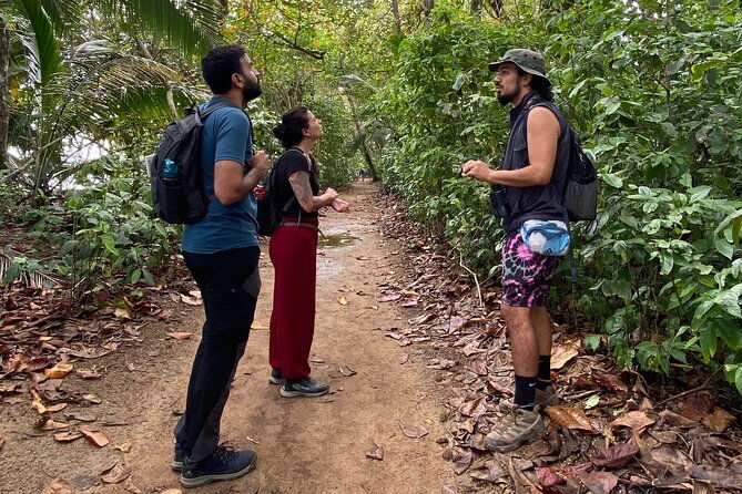 cahuita-national-park-tour-and-water-experience-in-puerto-viejo