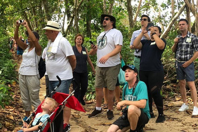 cahuita-national-park-walk-and-banana-plantation-shore-excursion-from-limon