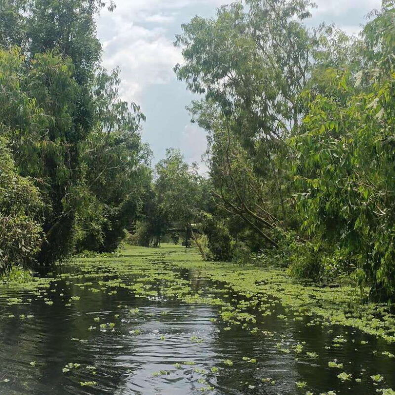 cai-rang-floating-market-and-lung-ngoc-hoang-nature-reserve