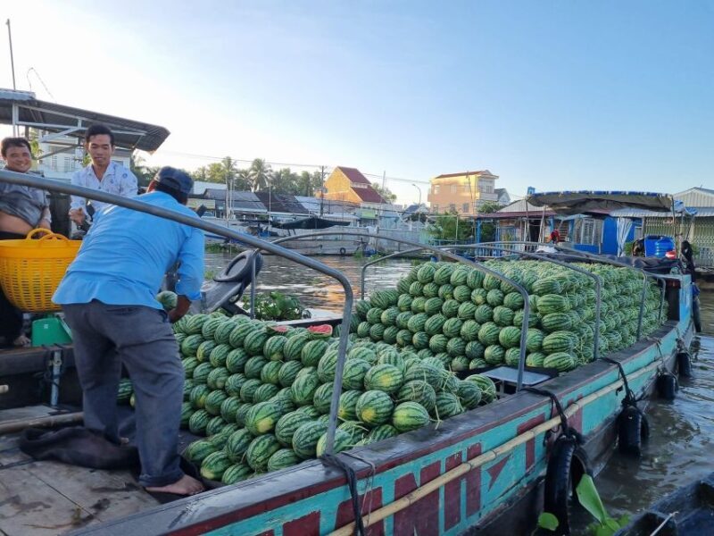 Cai Rang Floating Market & Cooking Class In Local's House - Scenic Cycling and Canal Rides