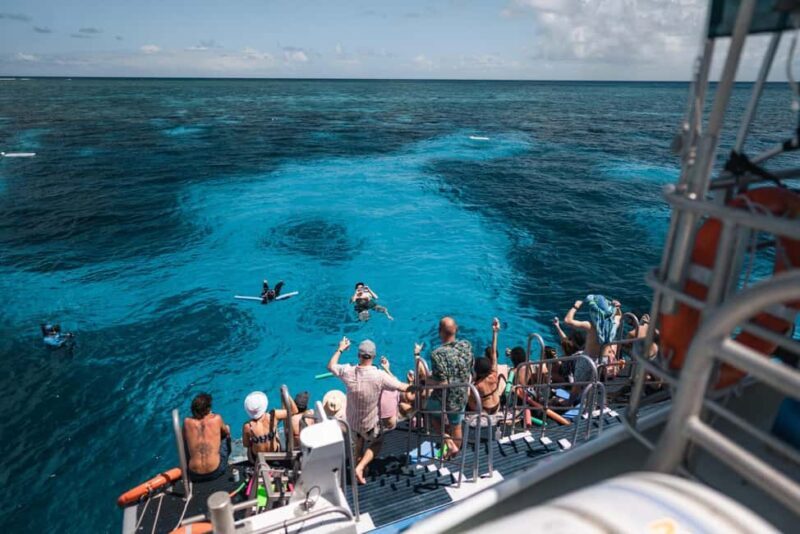 Cairns: 2-Day Great Barrier Reef and Fitzroy Island Tour - Who Will Love This Tour?