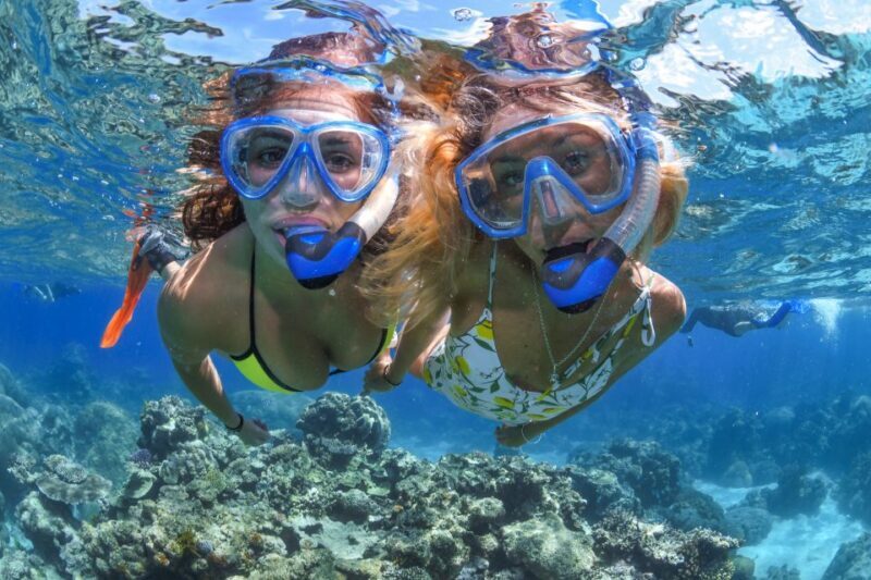 Cairns: 2-Day Great Barrier Reef & Daintree Rainforest Tour - What to Expect from the Itinerary