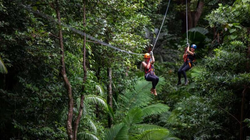 Cairns : 2 Days Daintree & Reef Experience - Key Points