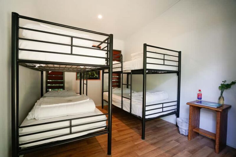 Cairns : 2 Days Daintree & Reef Experience - Final Thoughts