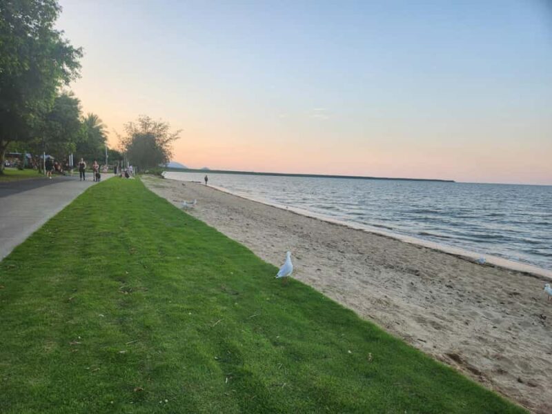 Cairns: 3 days - Daintree, Kuranda, Reef, Accommodation - Key Points