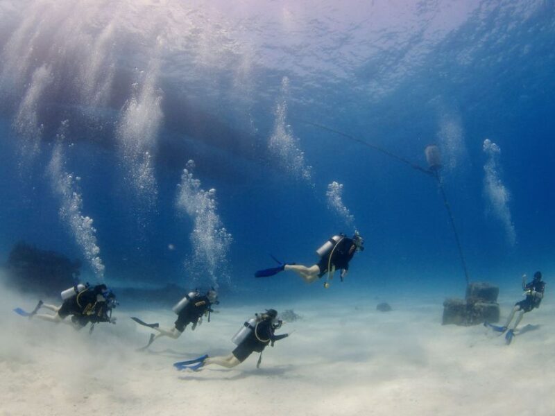 Cairns: 4-Day PADI Open Water Course - An Inside Look at the Cairns 4-Day PADI Open Water Course