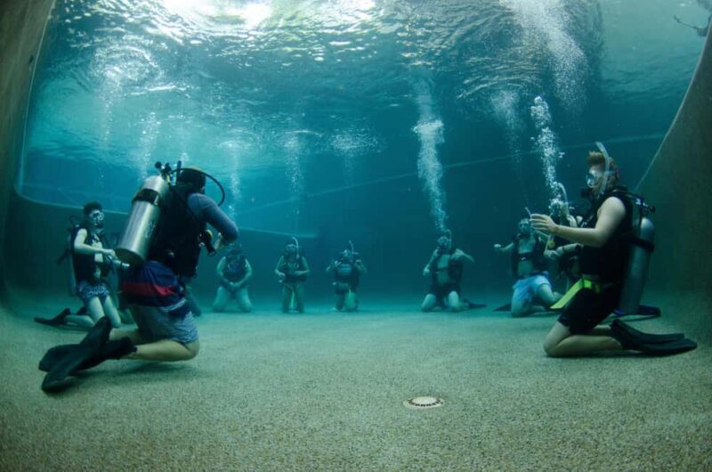 Cairns: 4-Day PADI Open Water Course - Final Thoughts: Is This Course Right for You?