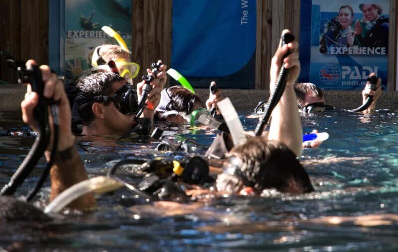 Cairns: 4-Day PADI Open Water Course - Frequently Asked Questions