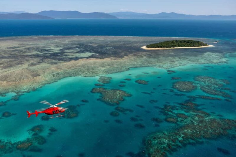 Cairns: 60 minute Scenic Flight Over the Reef & Rainforest - Starting with the Basics: What to Expect