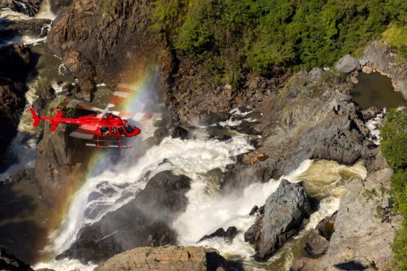 Cairns: 60 minute Scenic Flight Over the Reef & Rainforest - Why This Tour Has Real Value