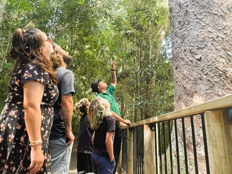 Cairns: Aboriginal Cultural Discovery Tour - Who Should Consider This Tour?