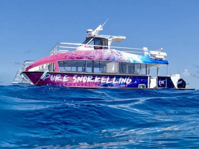 Cairns: All-Inclusive Great Barrier Reef Half-Day Snorkeling - The Value of This Tour