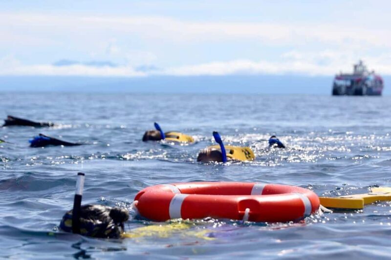 Cairns: All-Inclusive Great Barrier Reef Half-Day Snorkeling - Final Thoughts