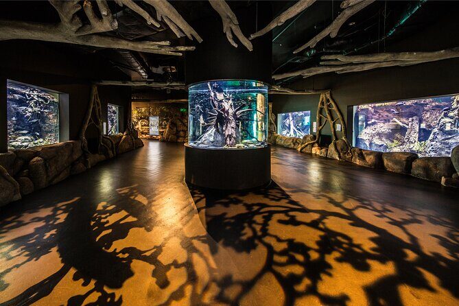 Cairns Aquarium by Twilight Tour - Who Would Love This Tour?