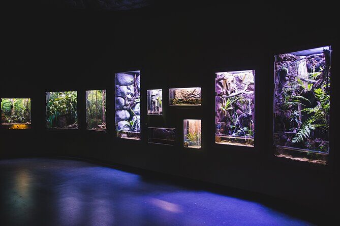 Cairns Aquarium by Twilight Tour - Final Thoughts