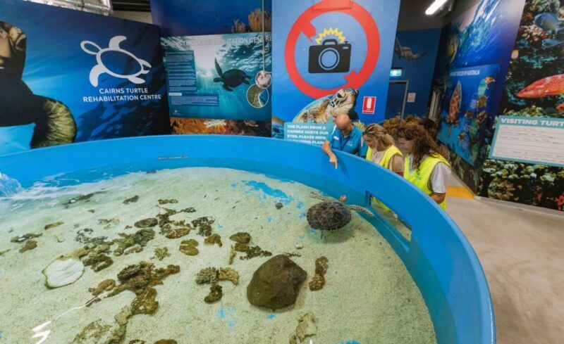 Cairns: Aquarium Entry Ticket and Turtle Rehabilitation Tour - Who Will Love This Tour?