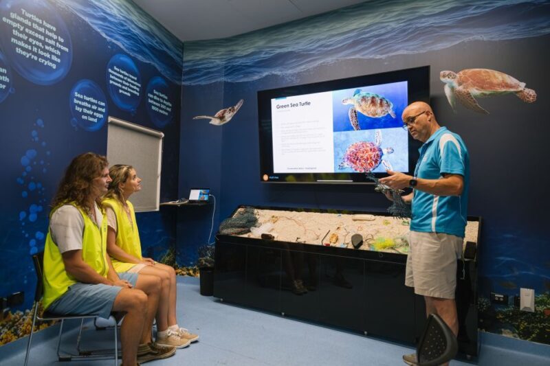 Cairns: Aquarium Entry Ticket and Turtle Rehabilitation Tour - The Turtle Rehabilitation Center: A Heartwarming Experience