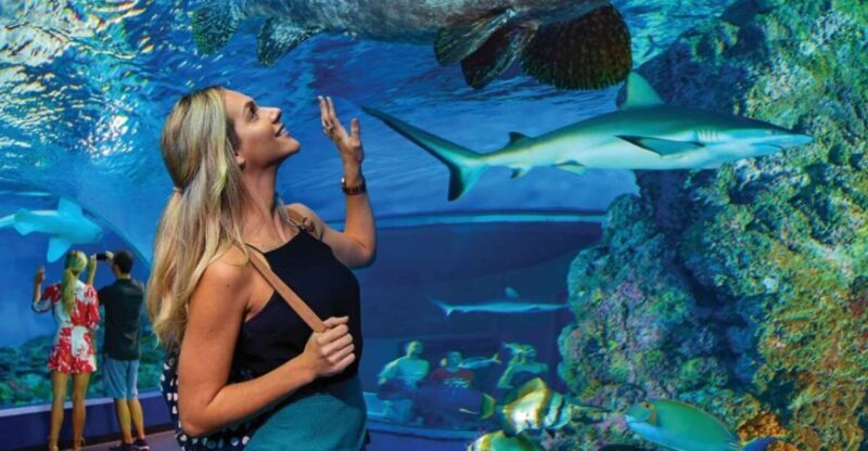 Cairns Aquarium General Admission Ticket - Key Points