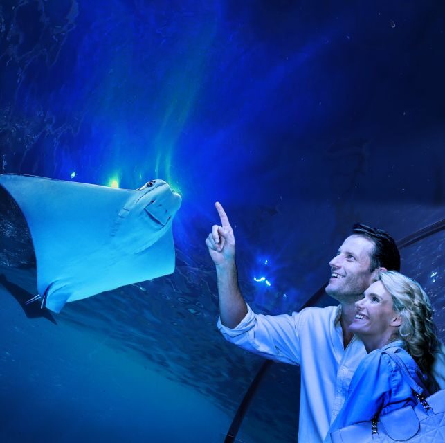 Cairns: Aquarium Guided Twilight Tour with 3-Course Dinner - Key Points