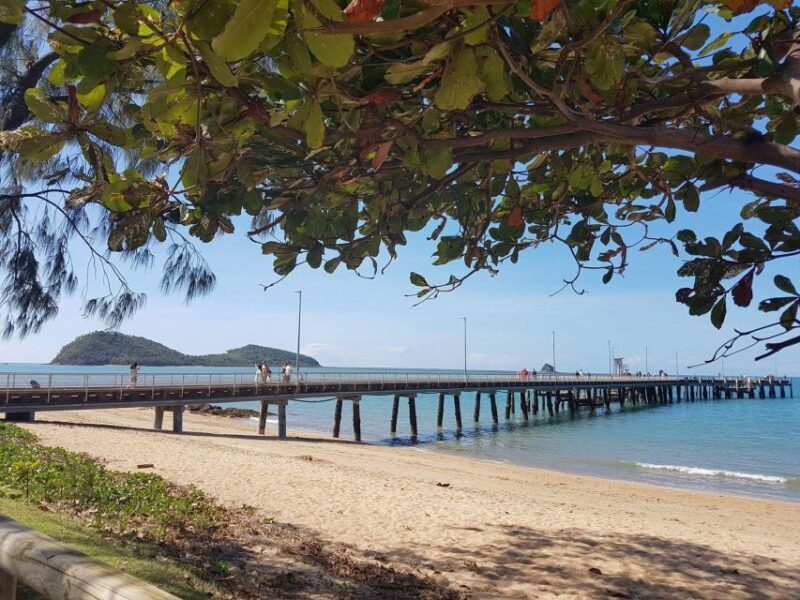 Cairns Aquarium Turtle Hospital and City Sightseeing Tour - What Travelers Love