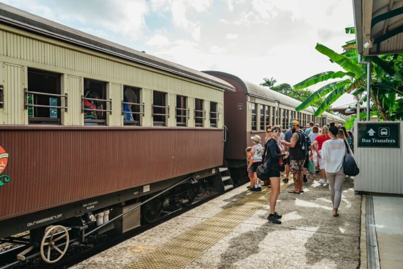 Cairns: Best of the Kuranda Rainforest Full-Day Tour & Lunch - Key Points  