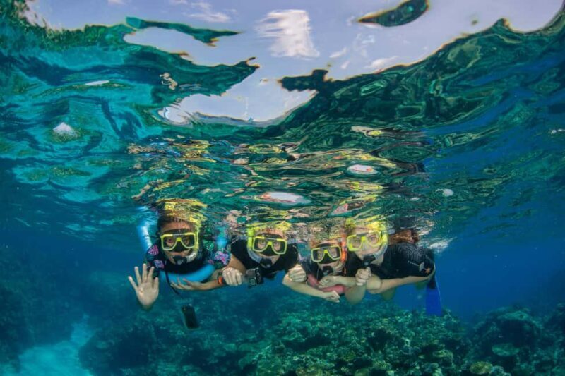 Cairns: Best Value All-inclusive Reef Trip With Scuba Dive - The Return Trip: Relax and Reflect with Wine & Crackers