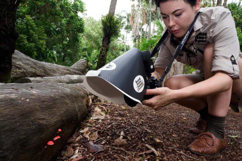 Cairns Botanic Gardens: Mushroom Photography Tour - The Itinerary Breakdown