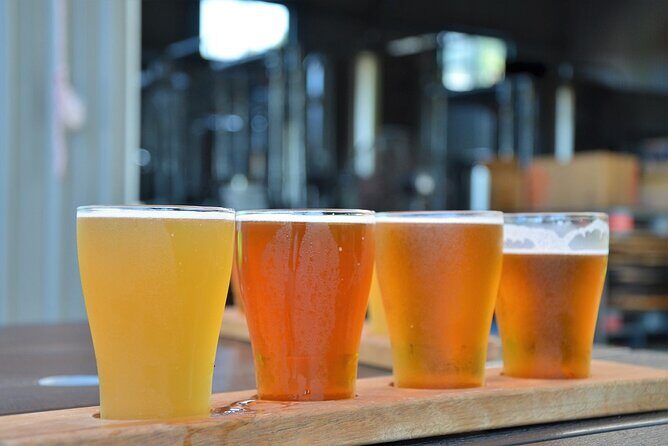 Cairns Brewery Tours - Final Thoughts