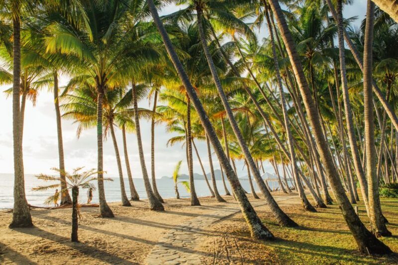 Cairns: Cairns City Sights & Surrounds Half Day Tour - Who Will Enjoy This Tour?