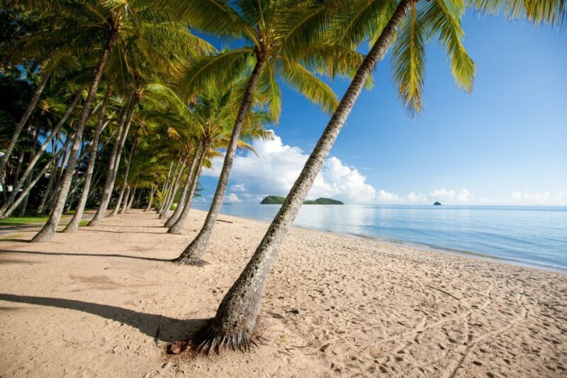 Cairns: Cairns City Sights & Surrounds Half Day Tour - The Sum Up
