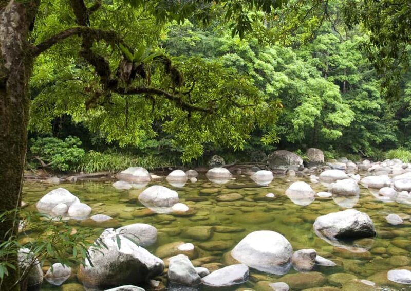 Cairns: Cape Tribulation, Daintree, Mossman and Port Douglas - The Itinerary in Detail: What to Expect