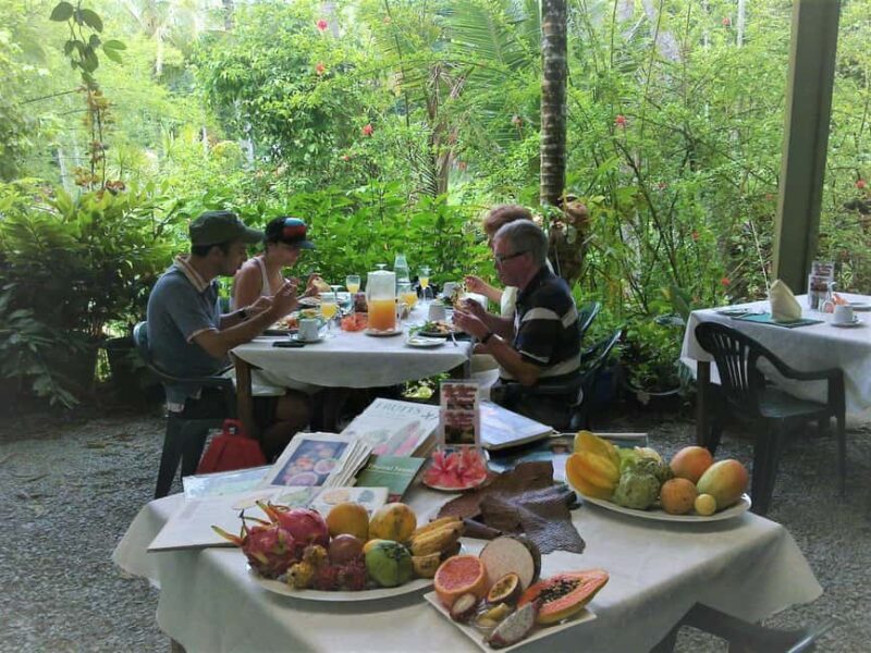 Cairns: Cape Tribulation, Daintree, Mossman and Port Douglas - FAQs