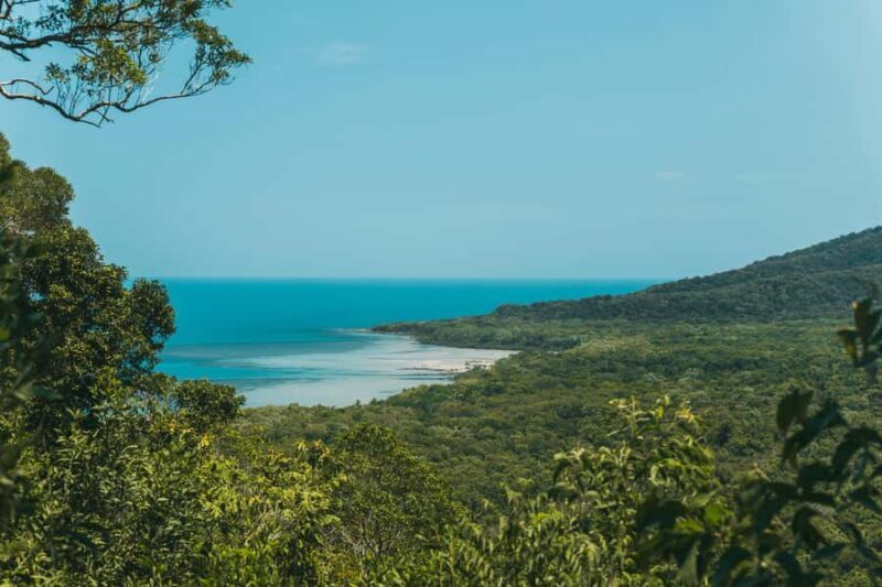 Cairns: Cape Tribulation & Daintree Rainforest Premium Tour - An In-Depth Look at the Tour Experience