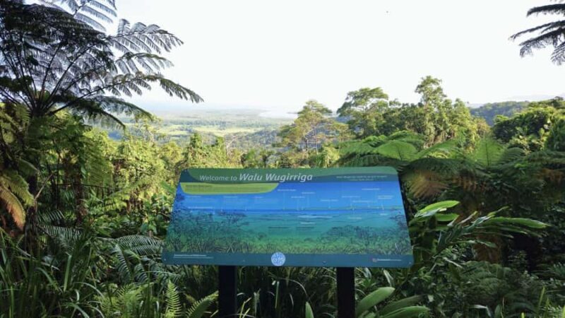 Cairns: Cape Tribulation, Mossman Gorge & Daintree Day Tour - An Authentic Day in Queensland’s Natural Heartland