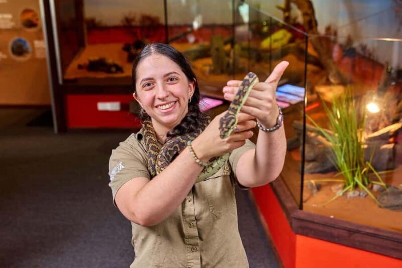 Cairns City: Cairns Koala & Creatures + City Sights Tour - Key Points