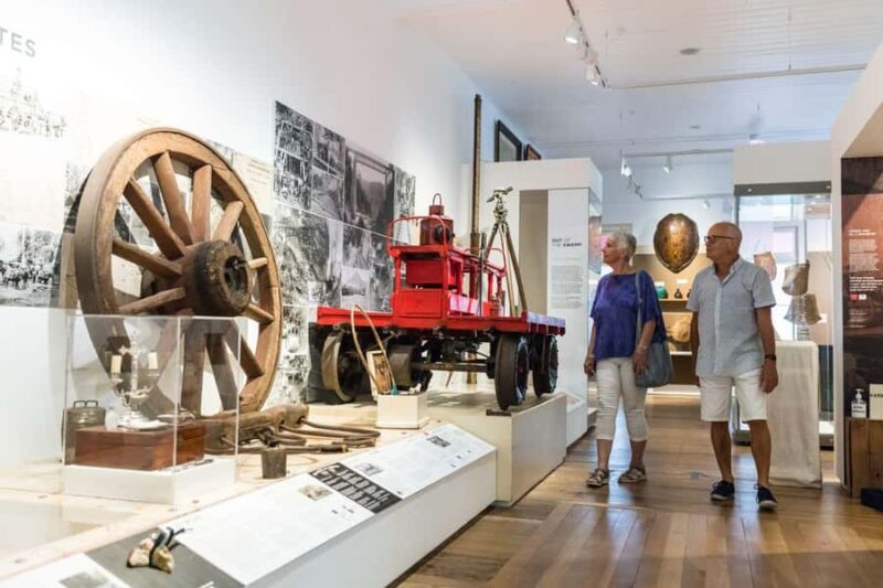 Cairns City: Cairns Koala & Creatures + City Sights Tour - An Overview of What You Can Expect