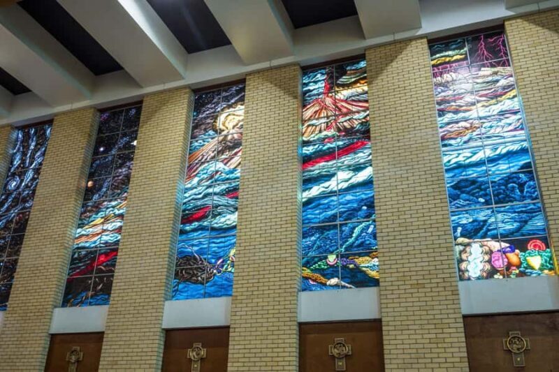 Cairns City: Cairns Koala & Creatures + City Sights Tour - Practical Considerations