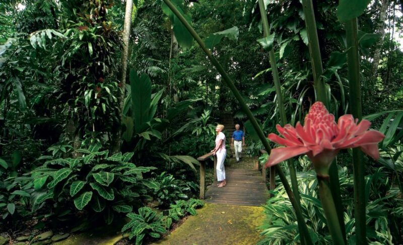 Cairns: City Sights Tour with Evening Dinner Cruise - The Sum Up