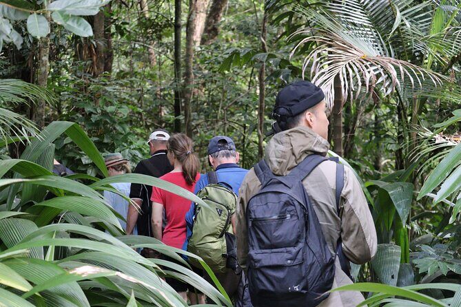 Cairns Daintree Rainforest and Cape Tribulation 2-Day Tour - Final thoughts
