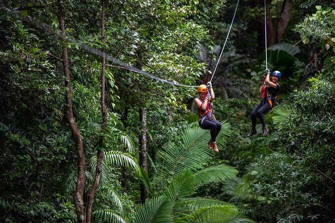 Cairns Daintree Rainforest and Cape Tribulation 2-Day Tour - FAQs