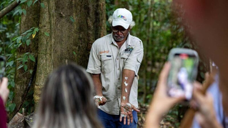 Cairns: Daintree Rainforest and Mossman Gorge Tour - Exploring the Itinerary in Detail