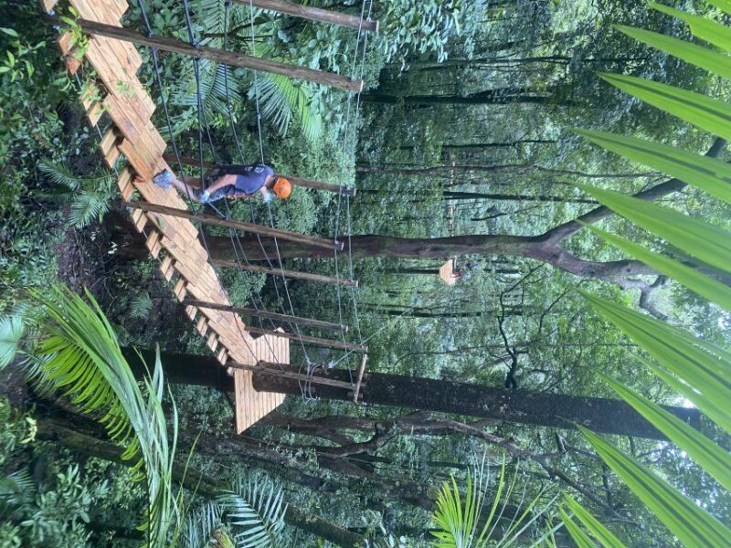 Cairns: Daintree Rainforest Canopy Ziplining Tour - A Closer Look at the Experience