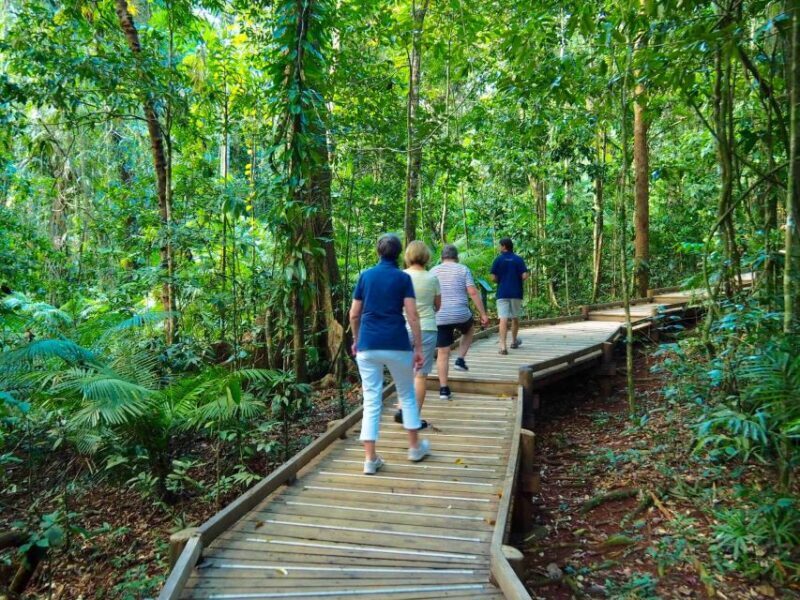 Cairns: Daintree Rainforest Canopy Ziplining Tour - Practical Tips for Your Visit