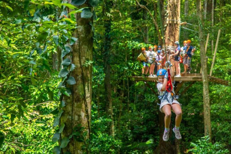 Cairns: Daintree Rainforest Canopy Ziplining Tour - Who Will Love This Tour?