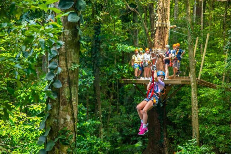 Cairns: Daintree Rainforest Canopy Ziplining Tour - Who Might Not Enjoy It?