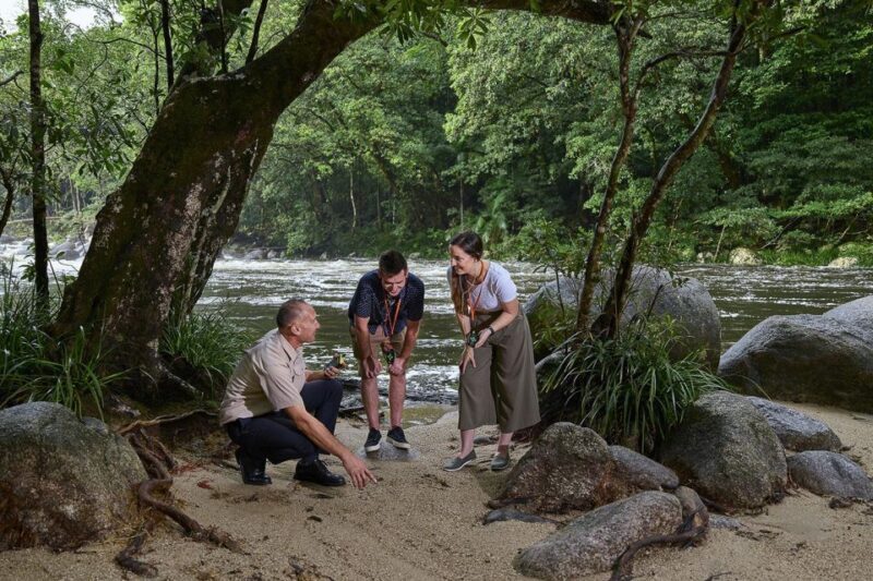 Cairns: Daintree Rainforest & Cape Tribulation Day Trip - FAQ