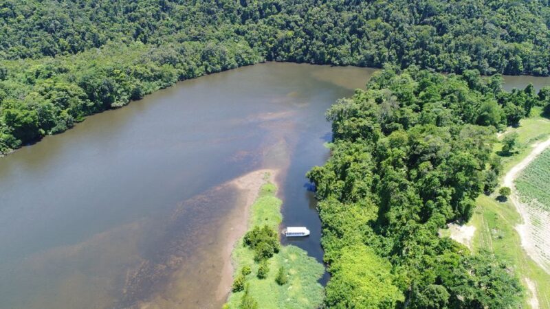 Cairns: Daintree Rainforest Wildlife Experience Cruise - A Closer Look at the Daintree Wildlife Experience Cruise