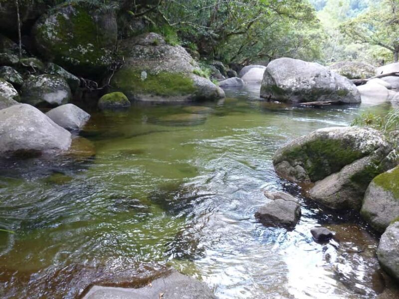 Cairns: Daintree River Cruise and Mossman Gorge - Key Points